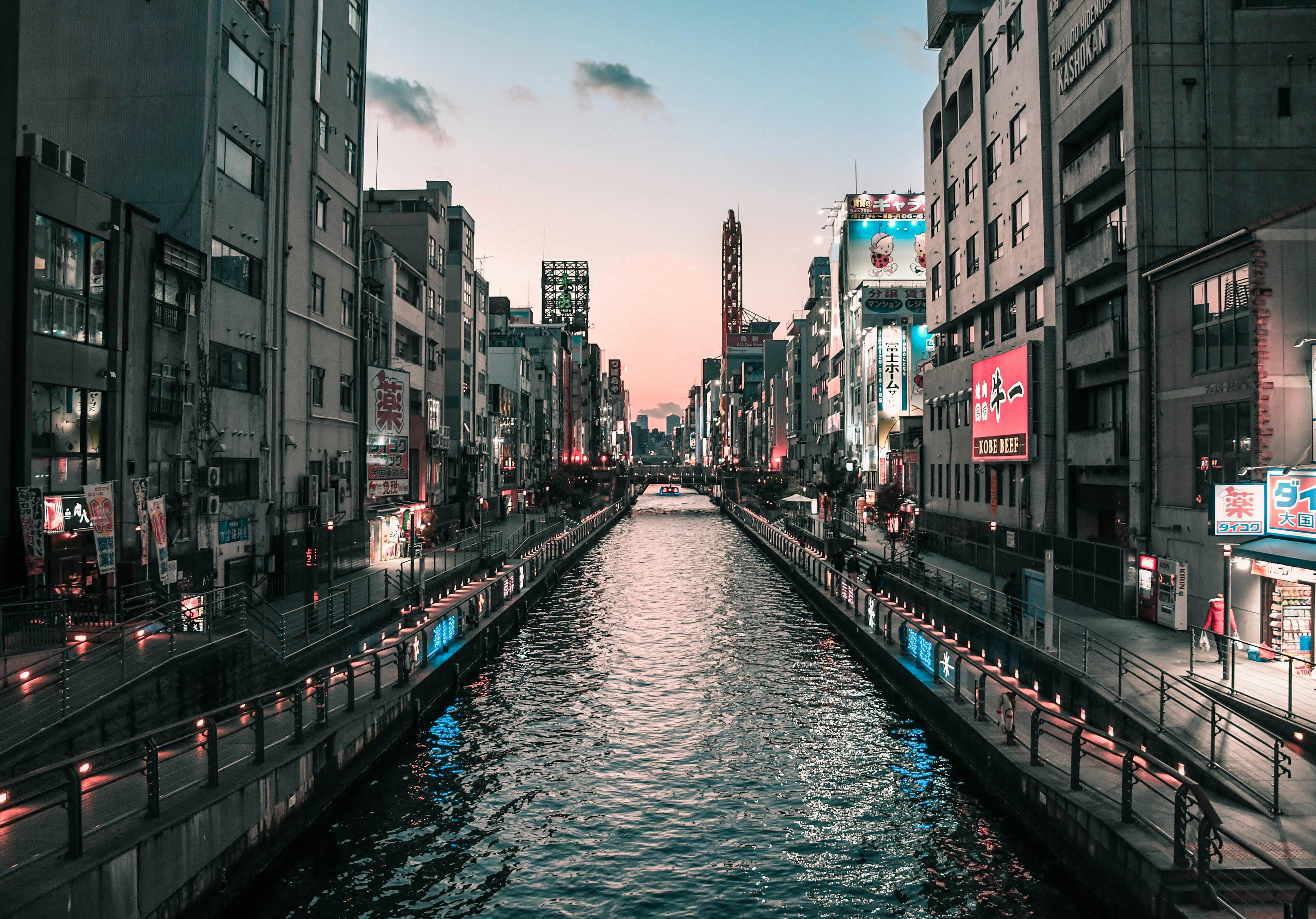 Crowds and neon in Osaka's Dotonbori district