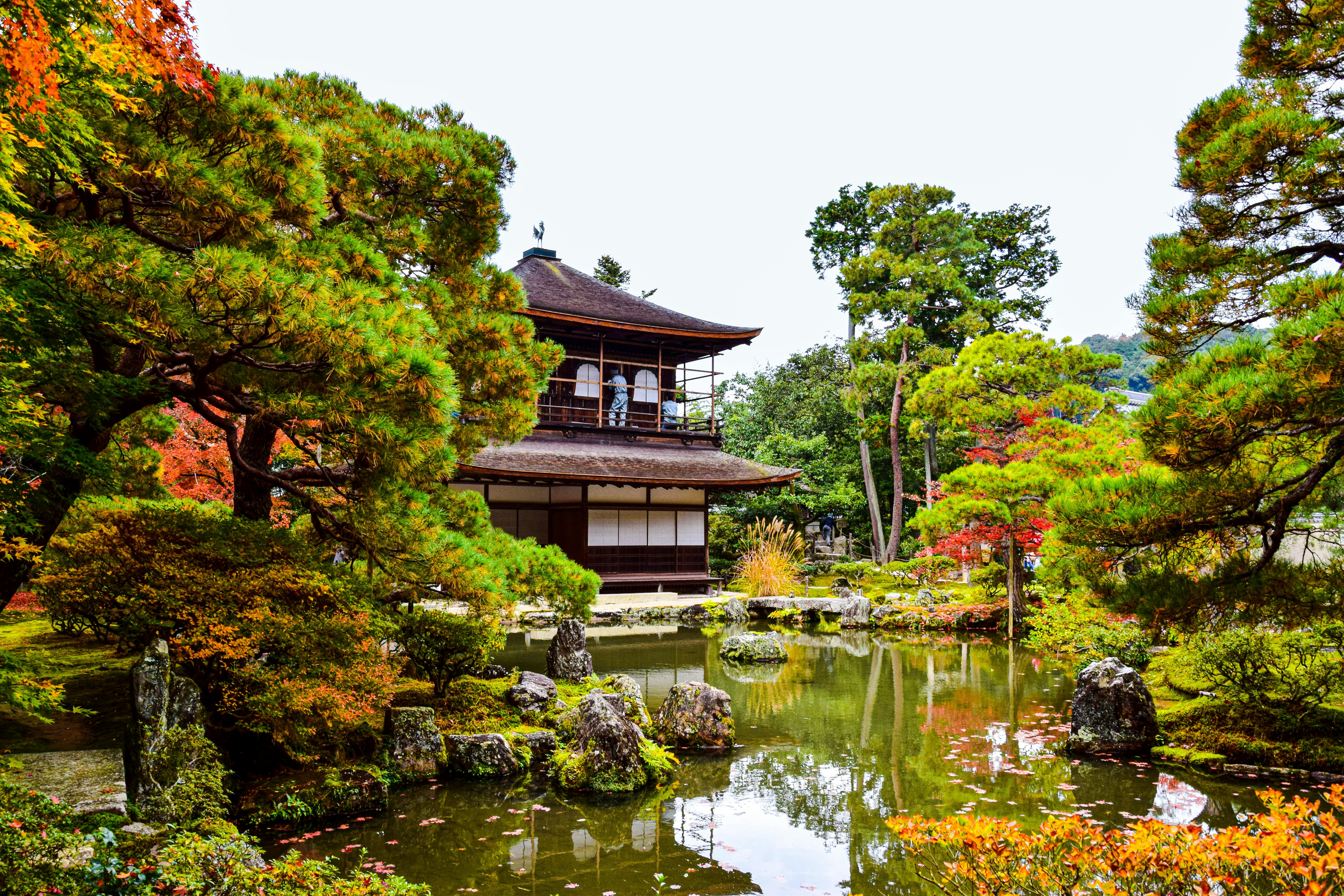 Maple leaves and traditional streets in Kyoto